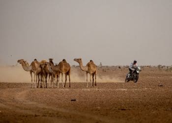 Vídeo: Aprilia lançou documentário sobre a vitória na Africa Eco Race