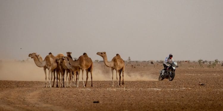 Vídeo: Aprilia lançou documentário sobre a vitória na Africa Eco Race
