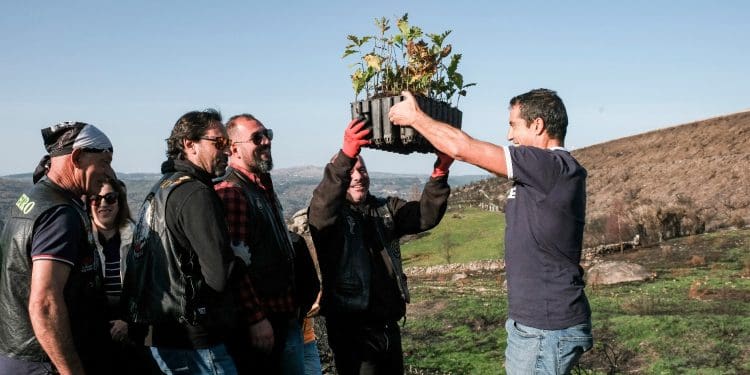 Portugal de Lés-a-Lés: Mil árvores autóctones são plantadas em Vila Pouca de Aguiar