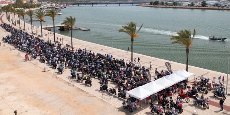 Federação de Motociclismo de Portugal encerra 2024 e já prepara próximo ano