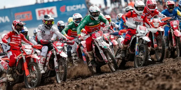 ISDE 2025: rasgos de talento a pensar em 2026