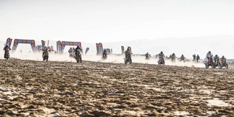 Sanders e Schareina…o duelo do Dakar?