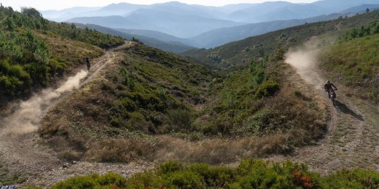 Prevenção passa por ‘Reflorestar Portugal de Lés-a-Lés’ com árvores autóctones – Motociclistas a plantar