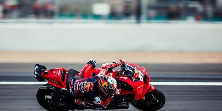 Spongebob, a ‘segunda alcunha’ de Pedro Acosta