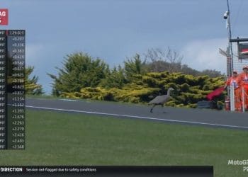 Aleix Espargaró atónito com invasão de pista: ‘Não sei como é possível que ainda aconteça’