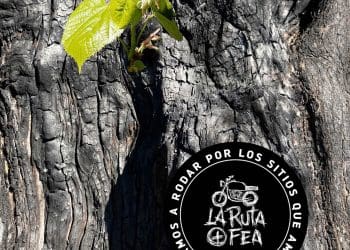 La Ruta + Fea, passear por paisagens feias e queimadas pelas chamas por uma causa solidária