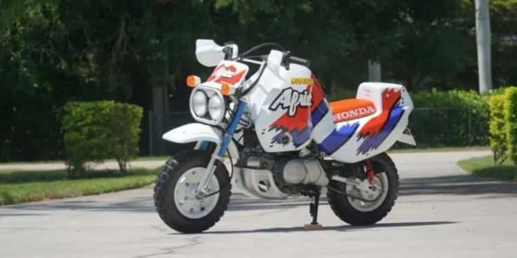 Honda Monkey – raríssima mini Africa Twin dos anos 90’