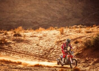 ‘Sinto que cometemos alguns erros’ – Adrien van Beveren